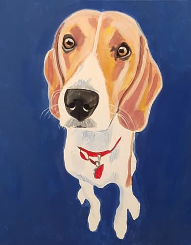 Paint Your Pet Events 2