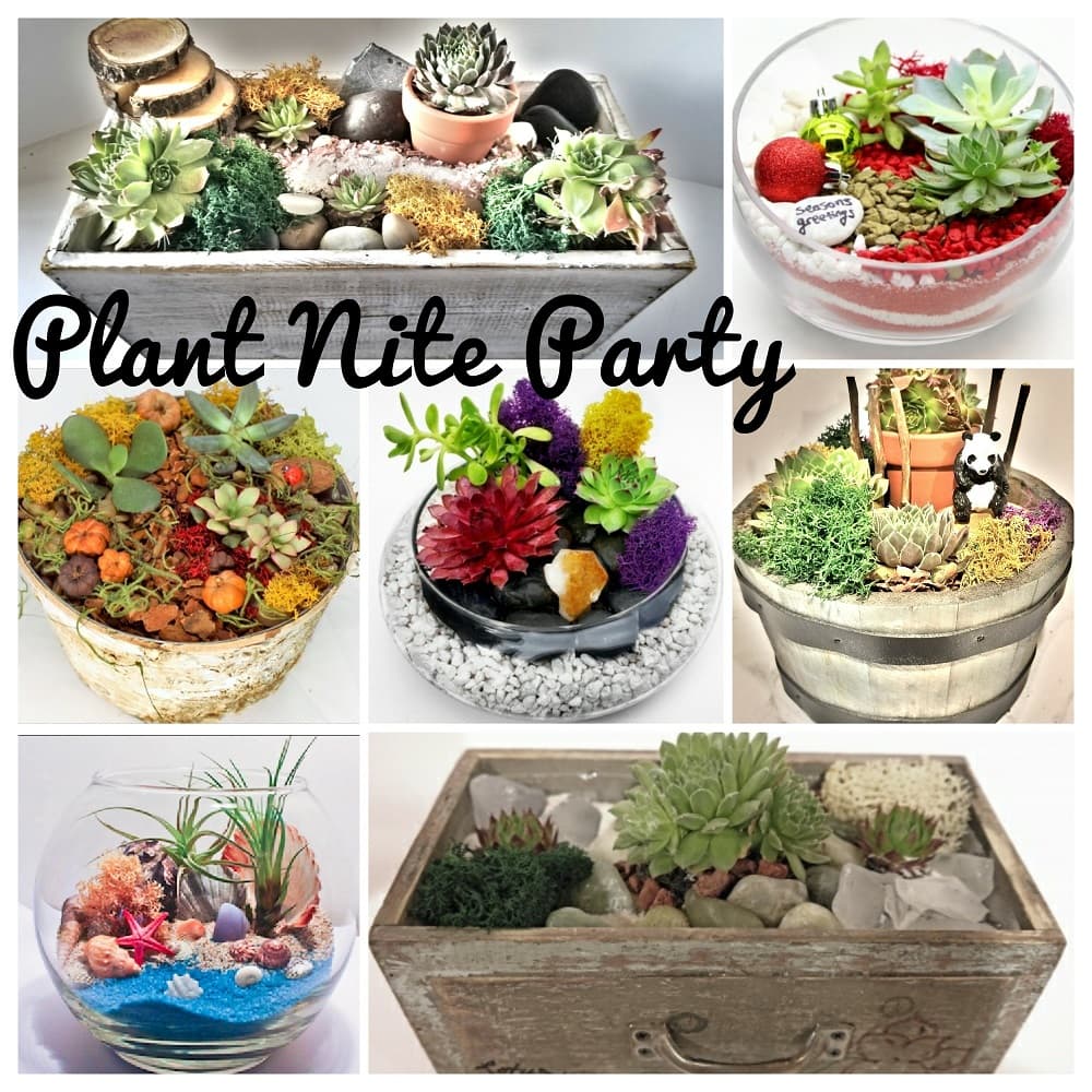 Plant Nite Party