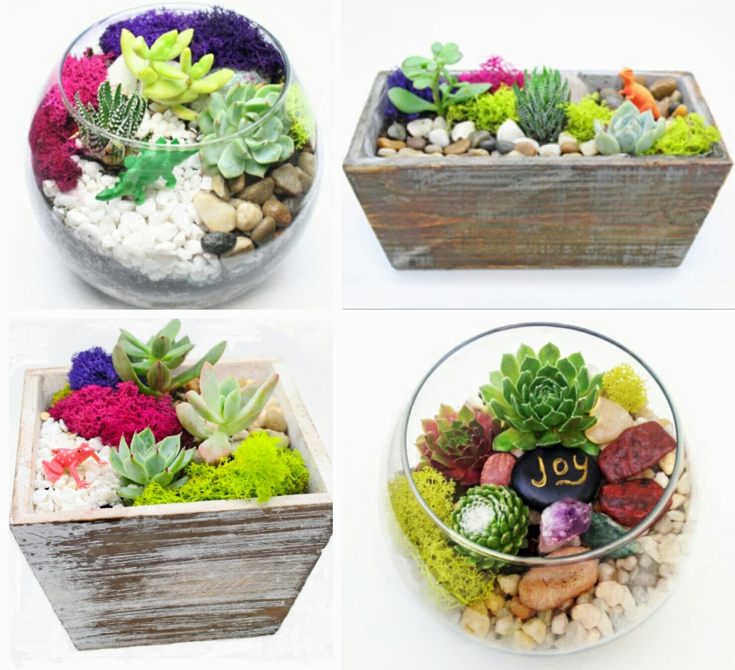 Succulent Garden in Wood Box or Glass Container. You Pick the Design