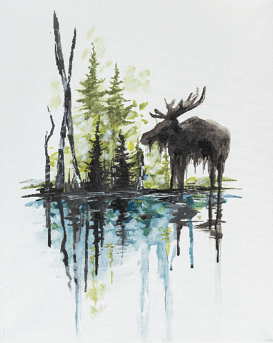 Bruce The Moose Meets Spruce
