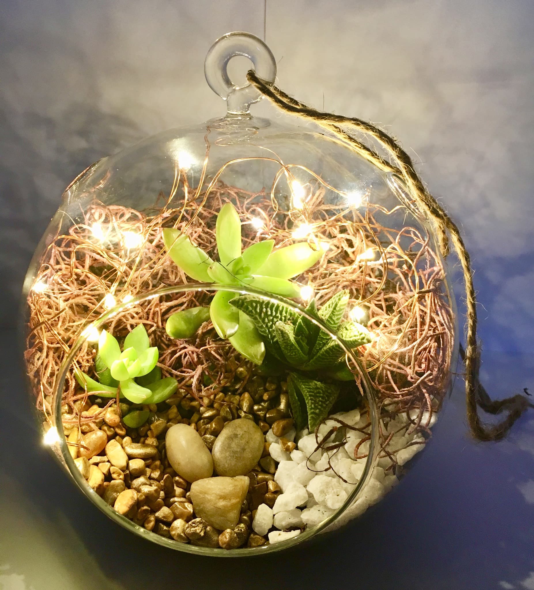 Hanging Globe Succulent Terrarium w/ Fairy Lights