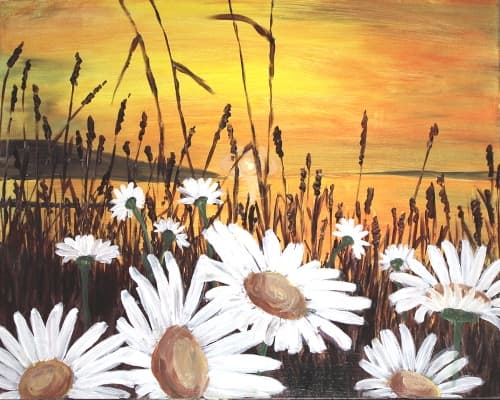 Crazy Daisy Sunset