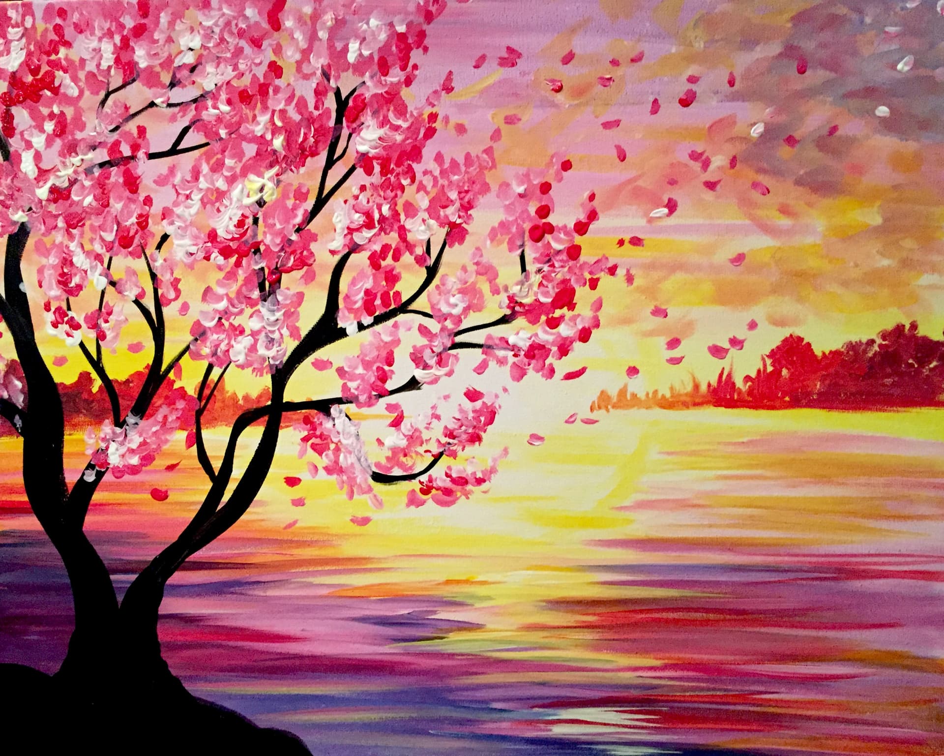 Sunset Cherry Blossoms