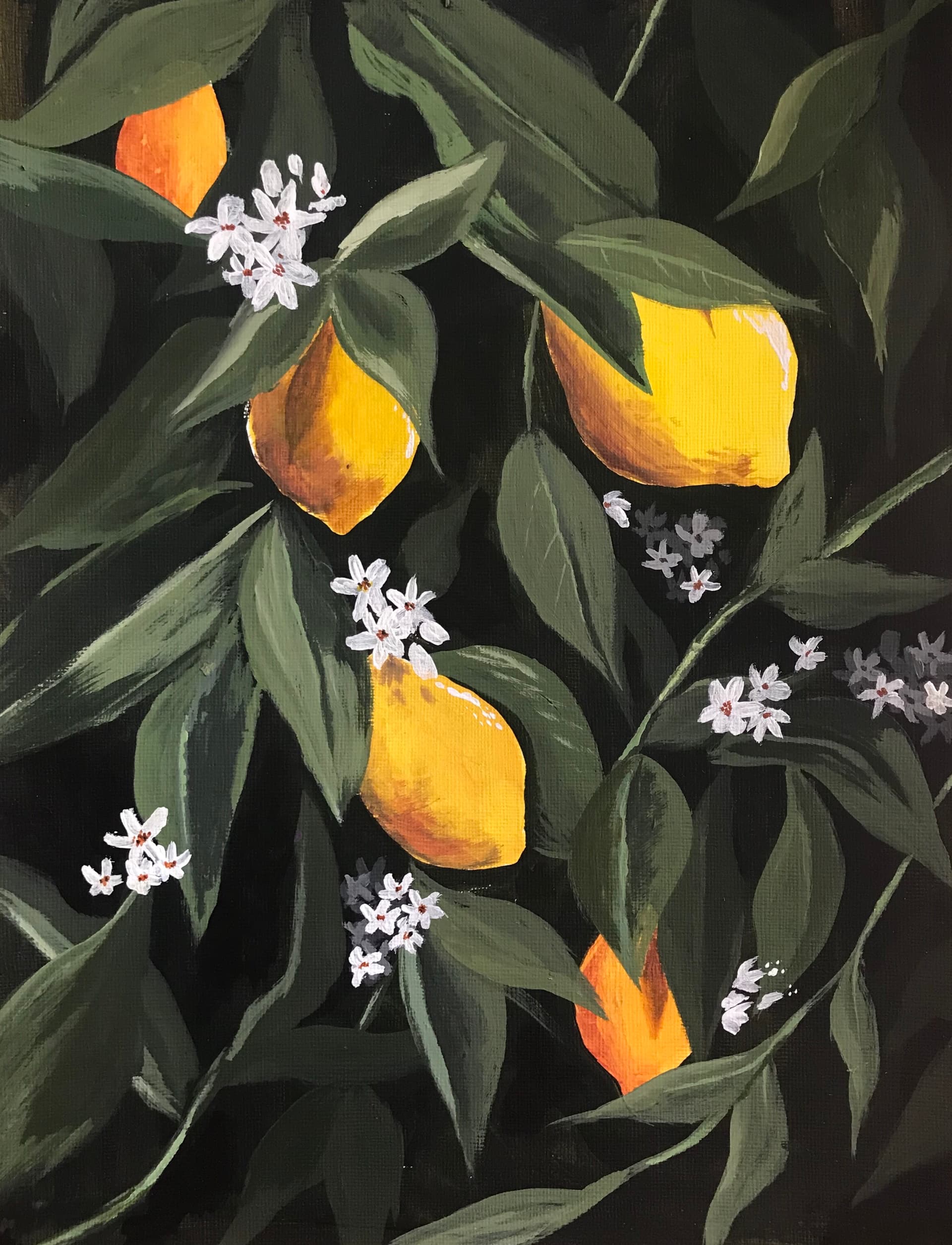 Summer Lemon Tree