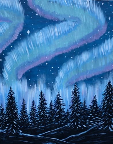 Northern Lights Winter Nights