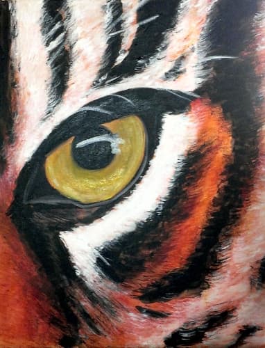 Eye of the Tiger