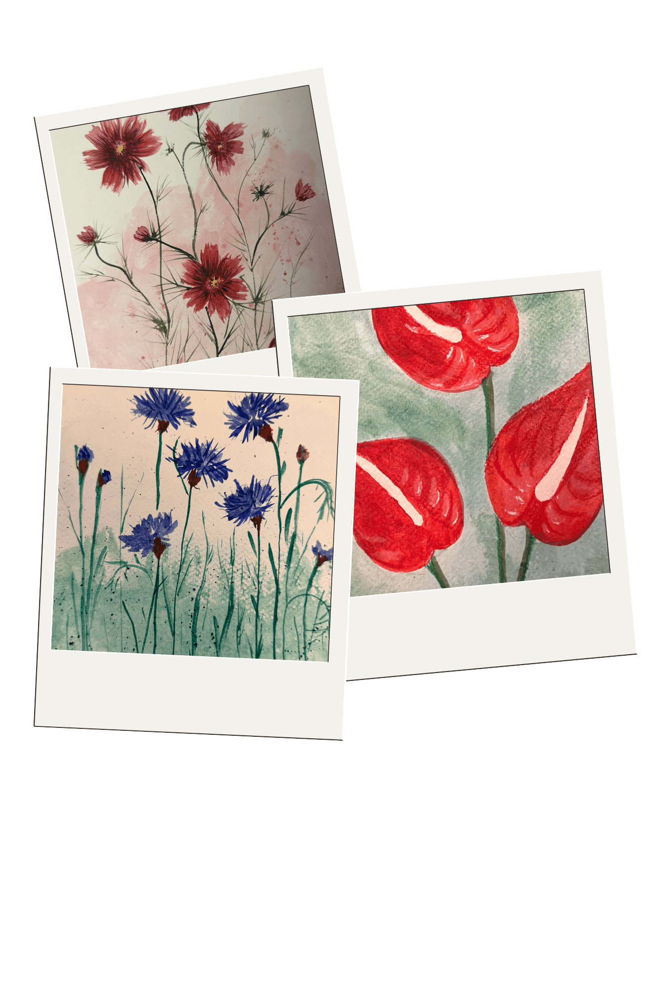 Watercolor Summer Flower Series