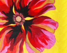 Poppin' Poppy