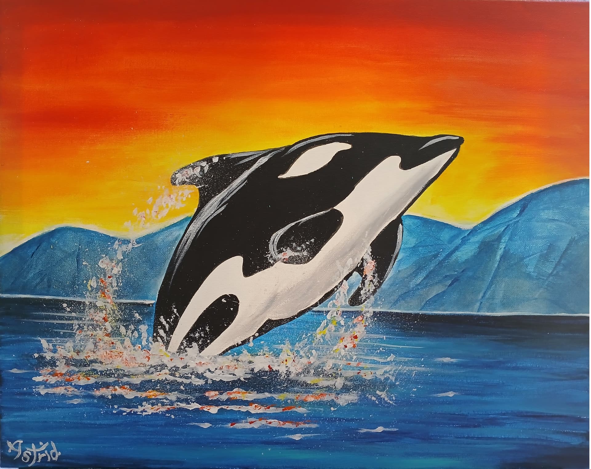 Orca Whale Breach
