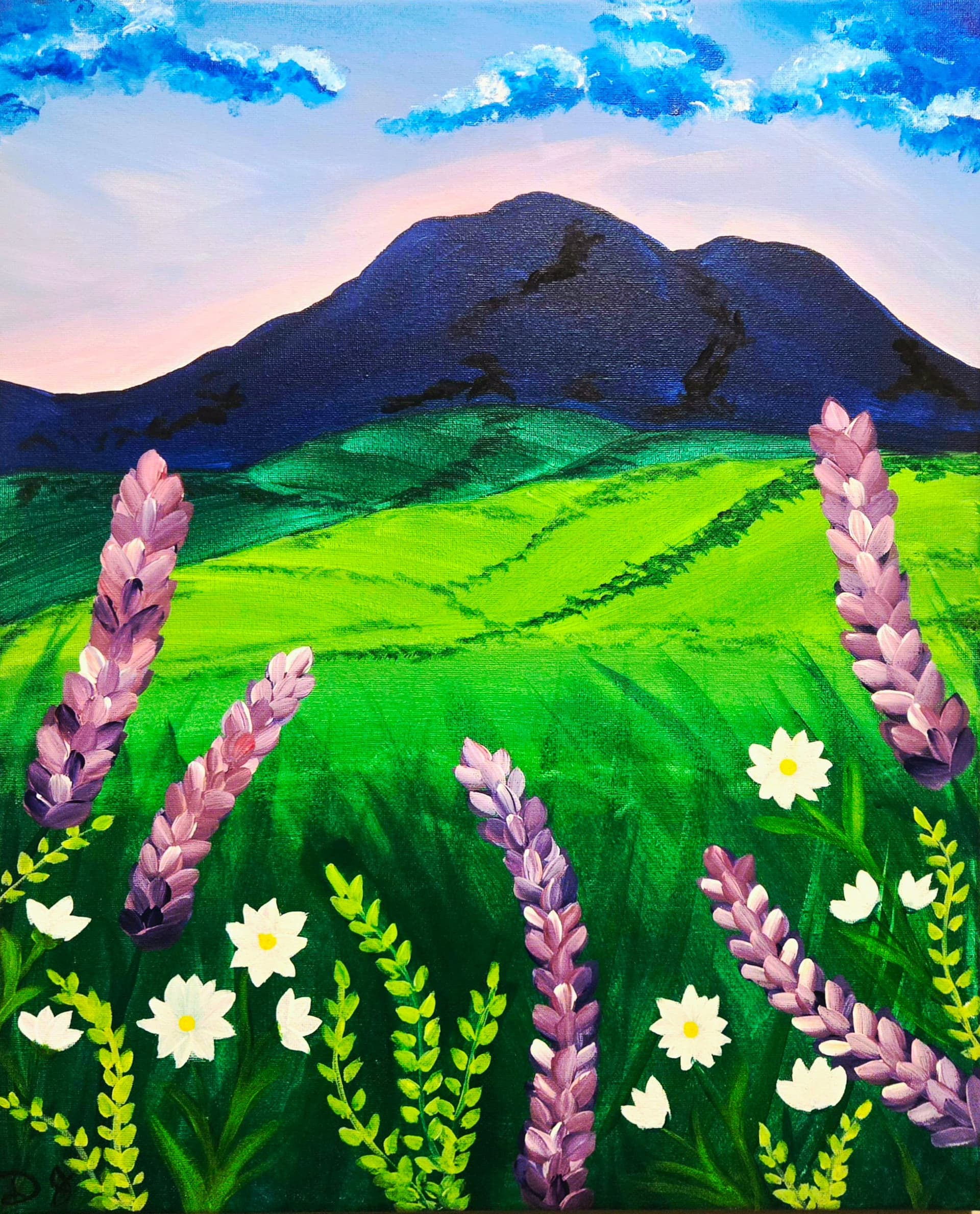 Wildflowers in the Buttes