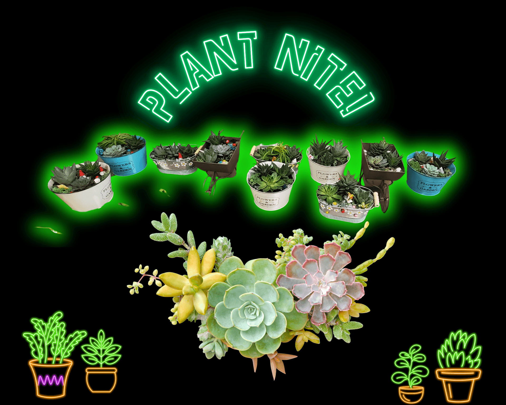 PLANT Nite! Choose Your Own Planter & Plants!