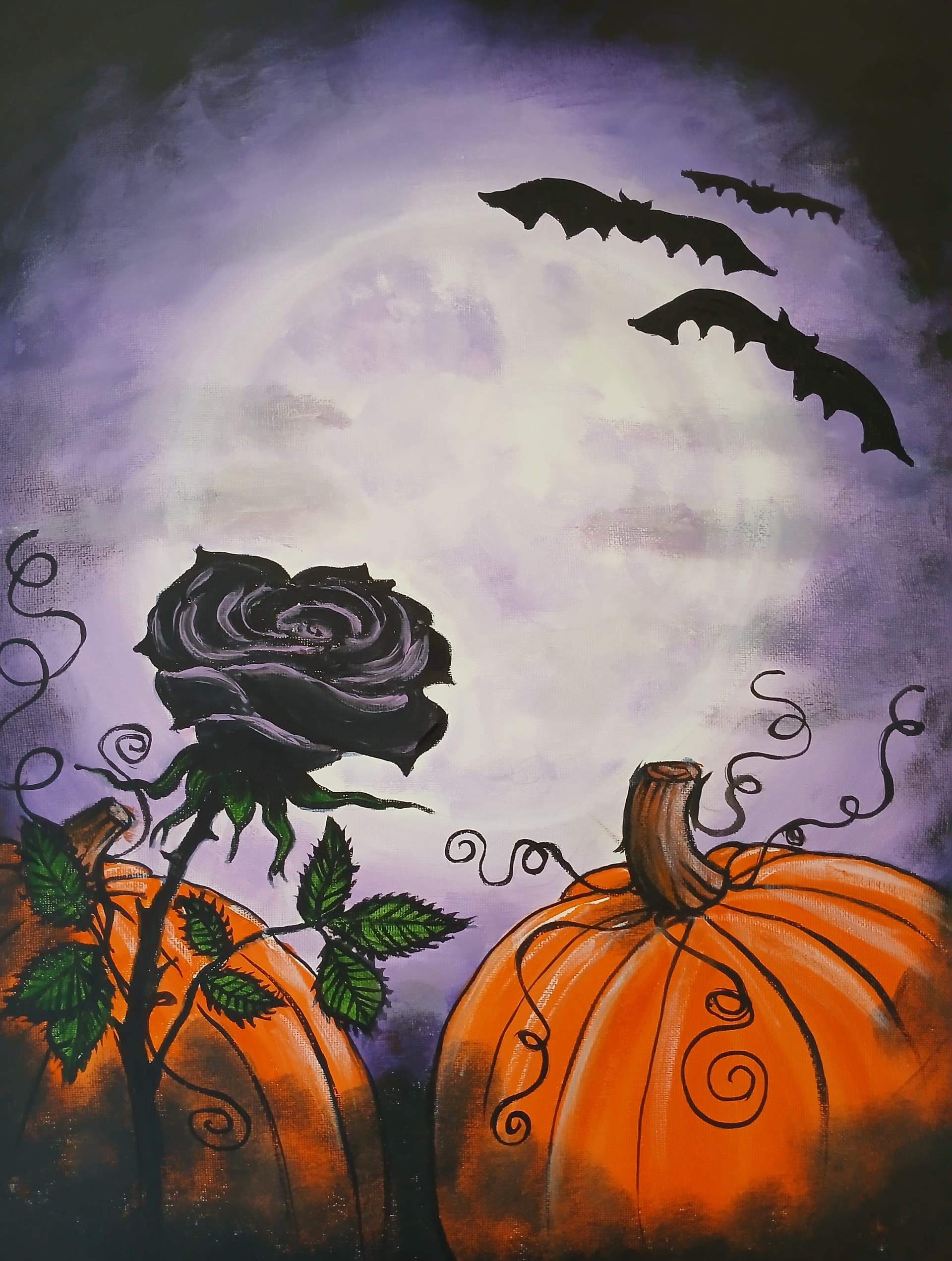 Midnight Rose at the Pumpkin Patch