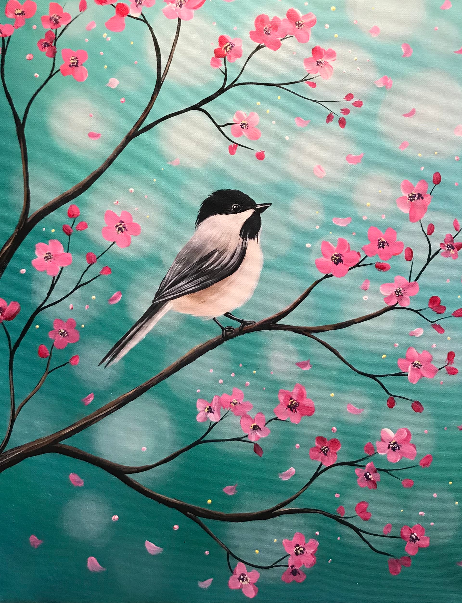 Chickadee Cherry Blossoms