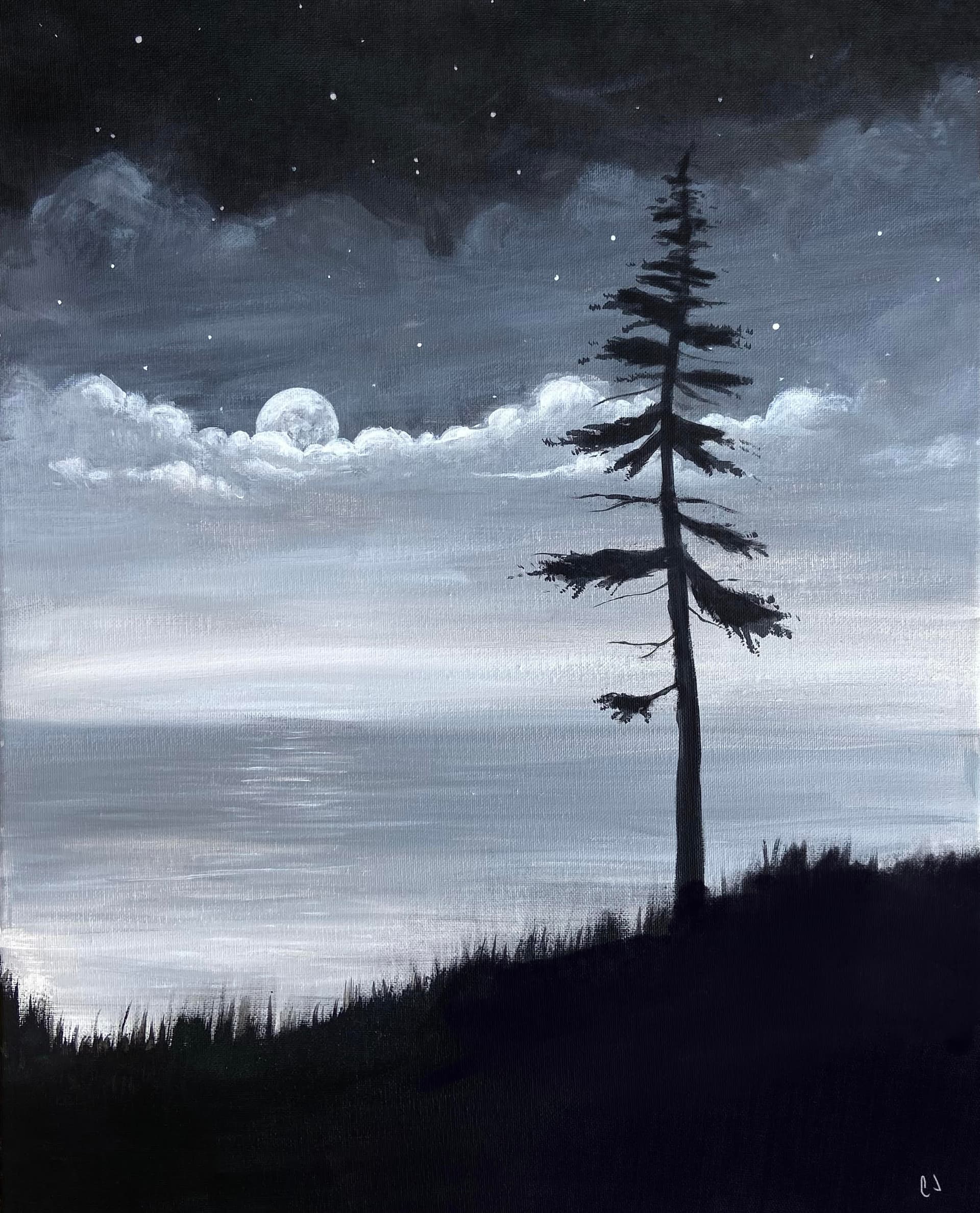 Black and White Moonlight