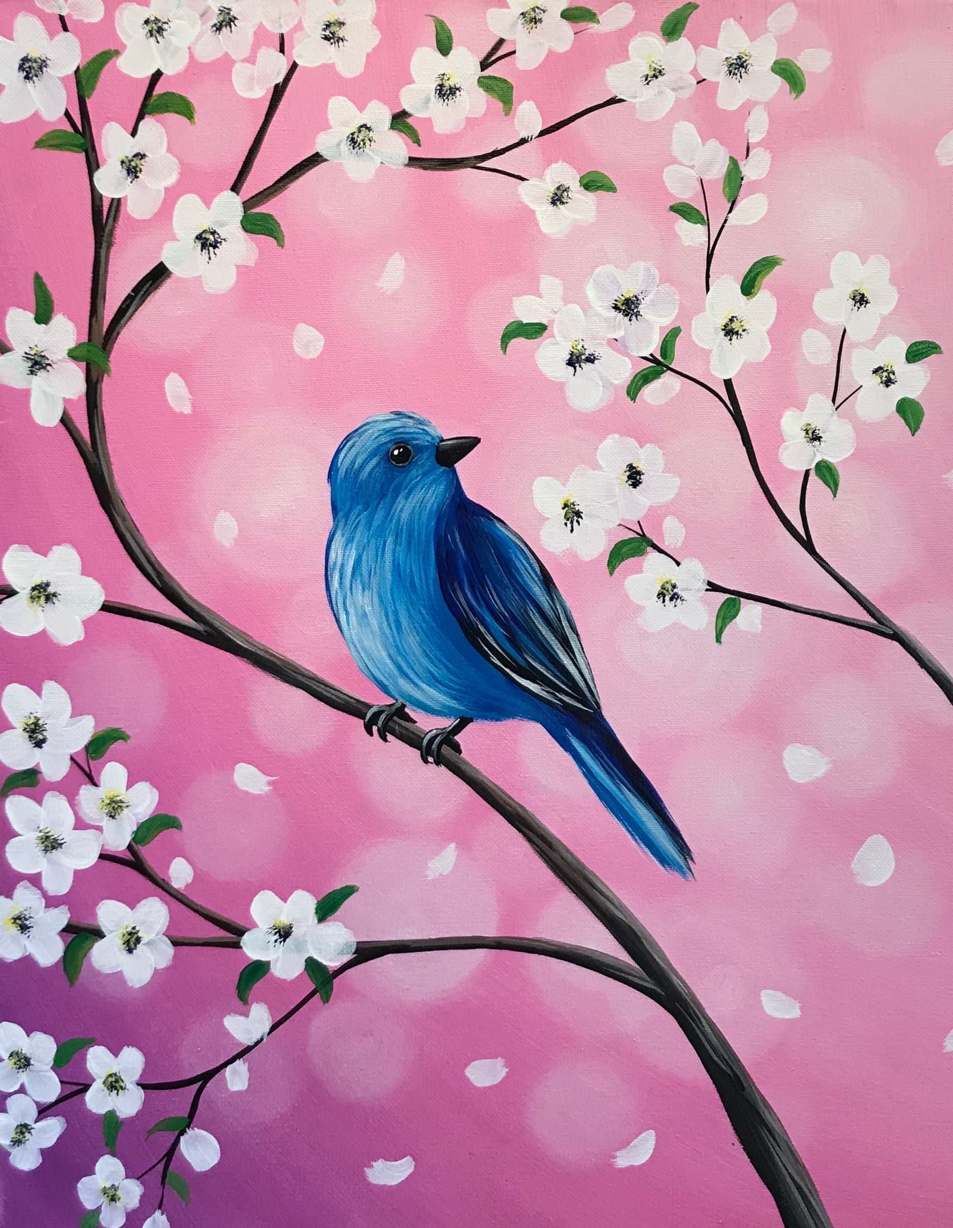 Bluebird Bokeh Blossoms