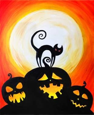 Halloween pumpkins and a cat