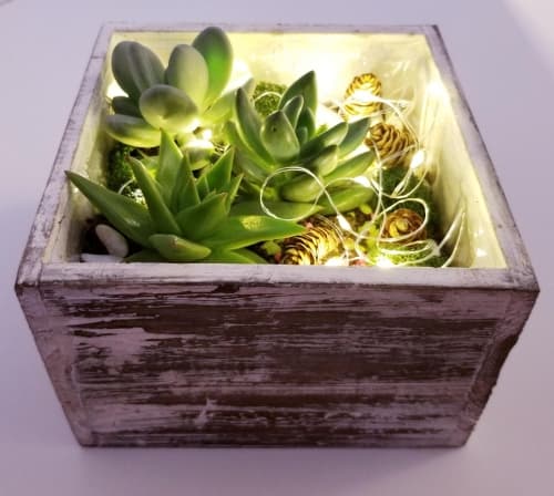 Playful Winter Fairy Lights and Succulents in Wooden Planter