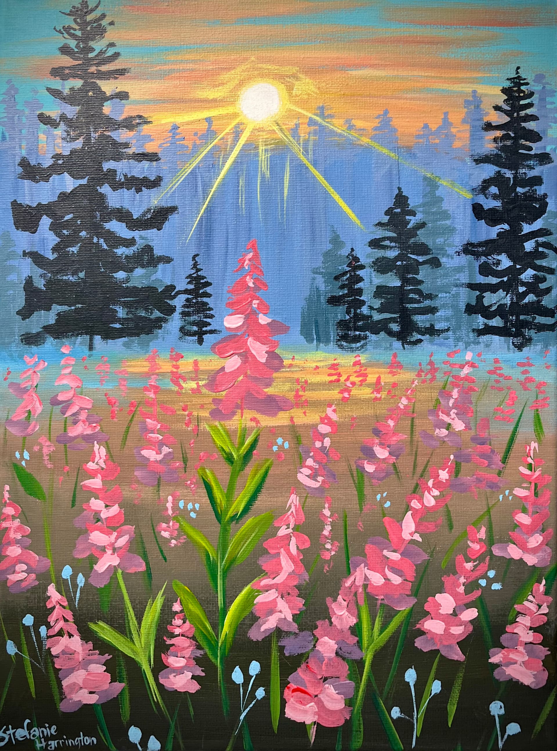Fireweed Glow