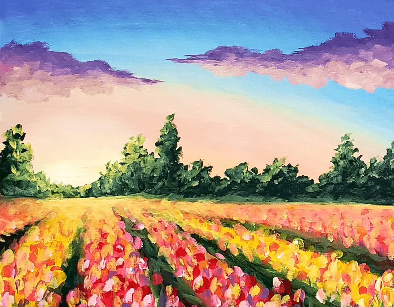 Sunset Tulip Meadow Symphony