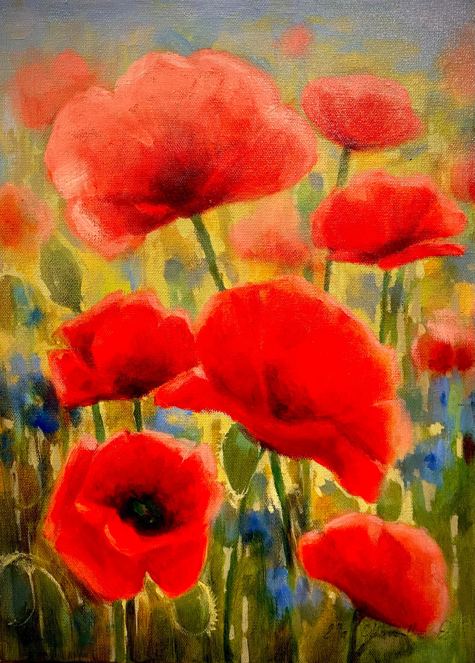 Poppies
