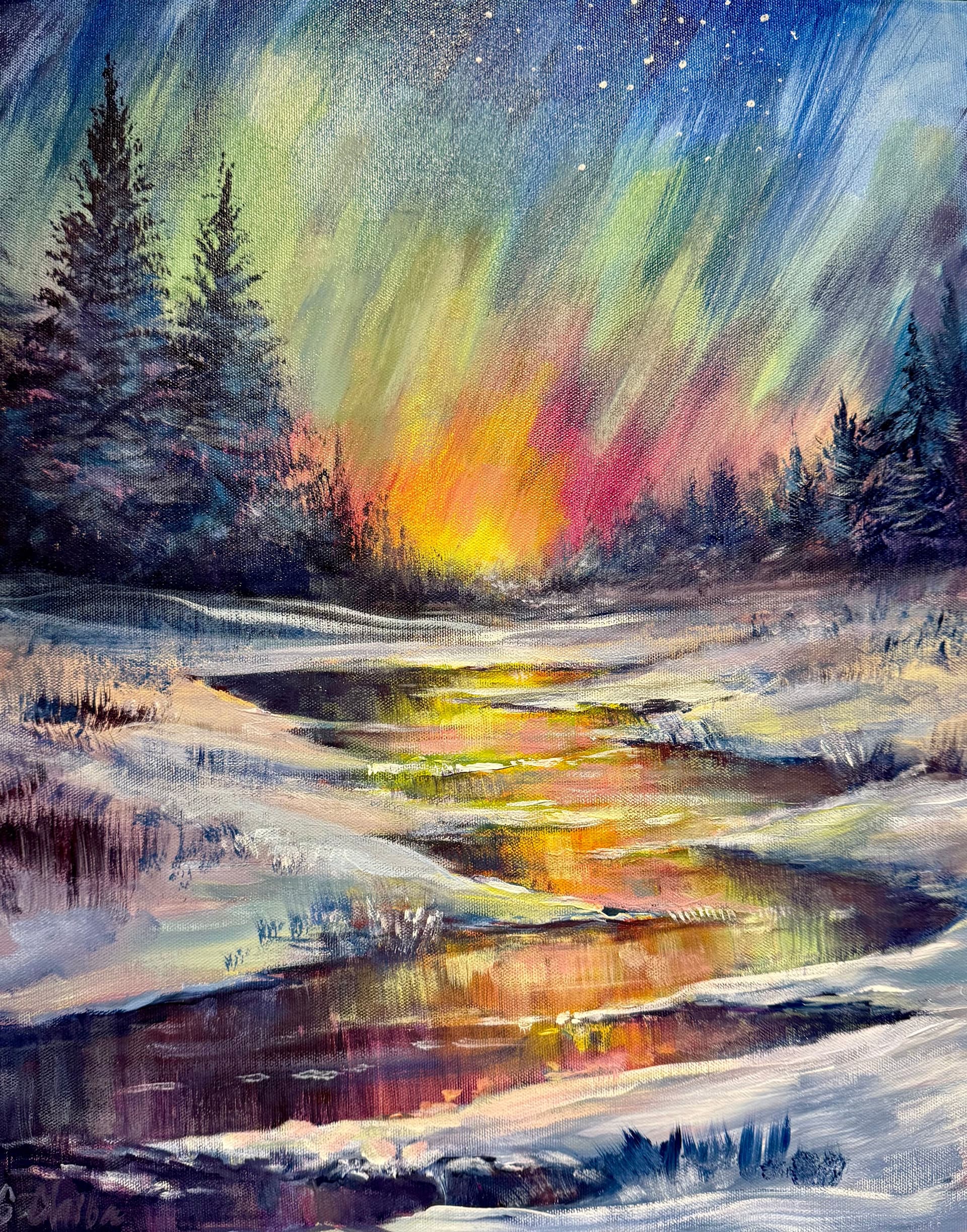 Northern Lights in Winter