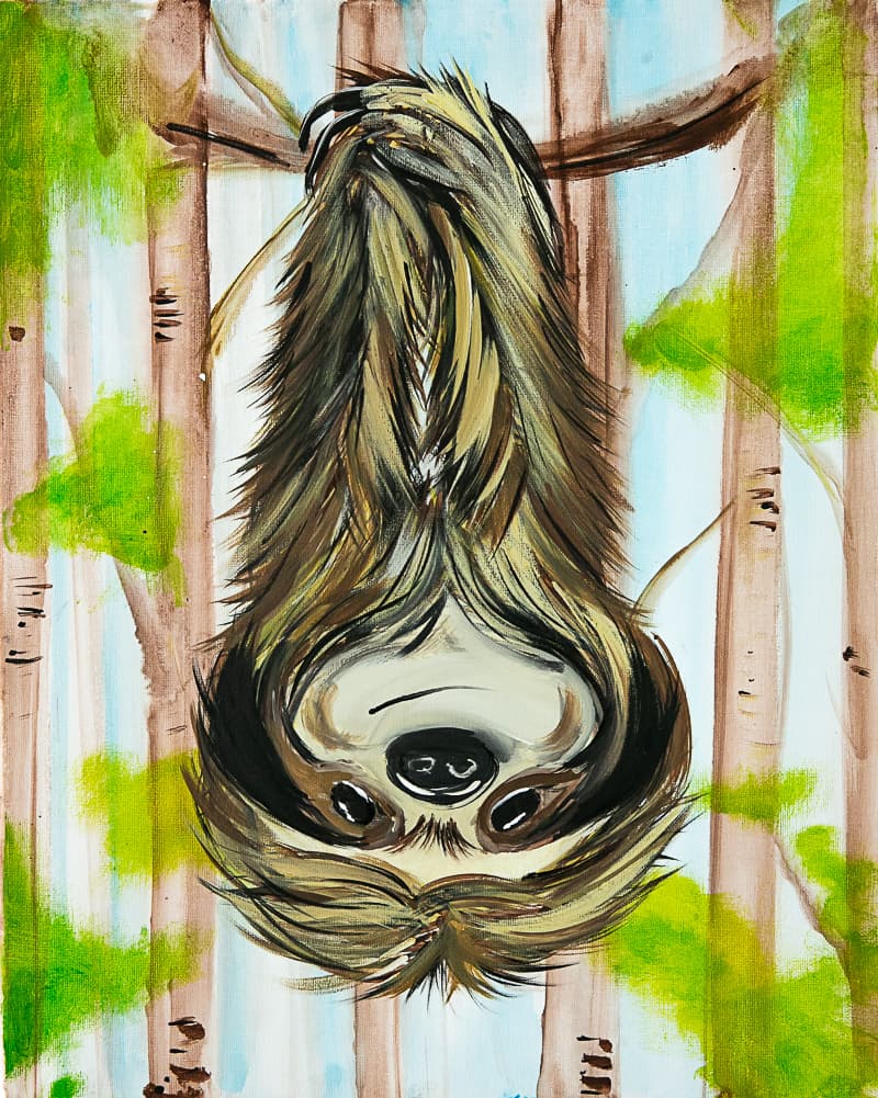 Slothing Around