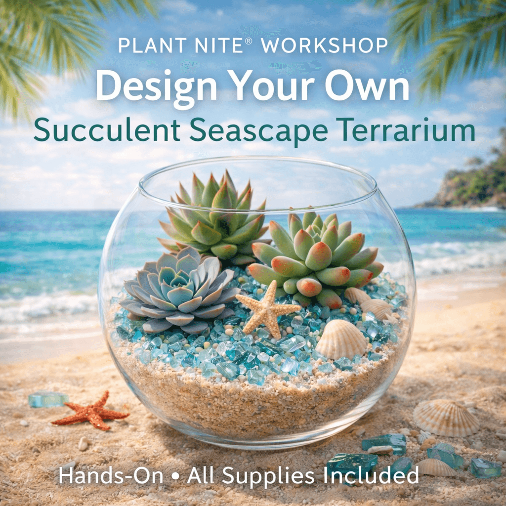 Succulents By The Sea- Plant Nite Workshop