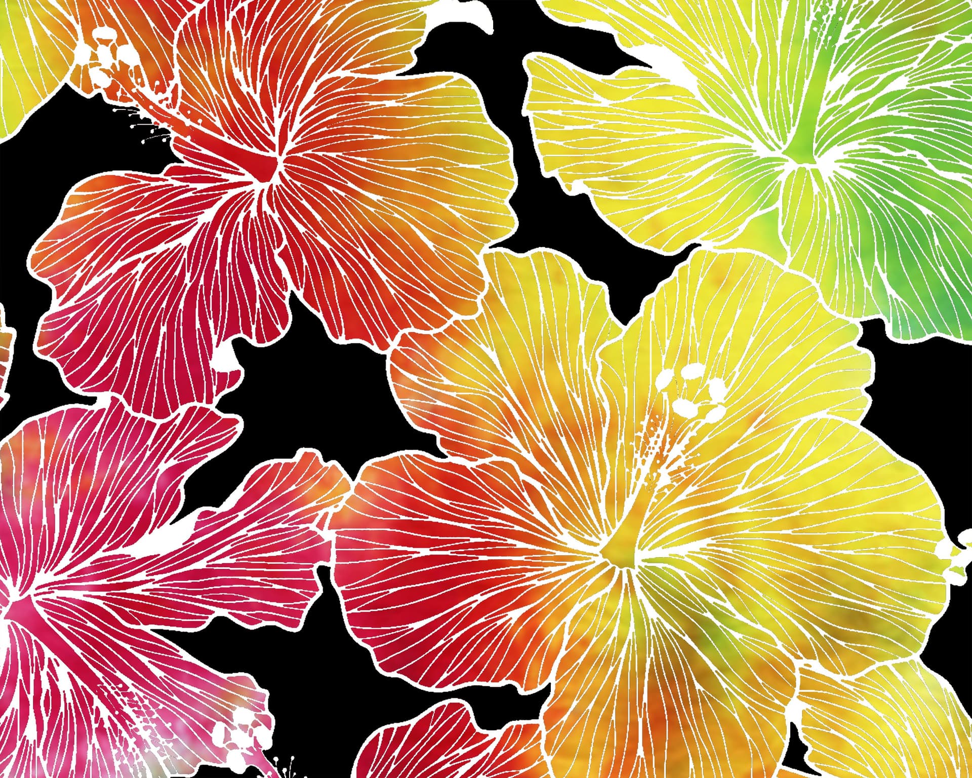 Galaxy Rainbow Hibiscuses